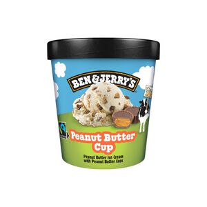 BJ Peanut Butter Cup Ice Cream