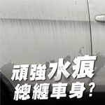 日本Willson 強力去污水漬洗車精 水痕 白車水痕  黑刁底 白車救星 白車美白洗車精, , large