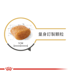 Royal Canin, , large