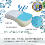 【多利寶寢具】Indian_人體工學涼感兩用記憶枕(1顆), , large