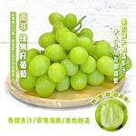 [馥果FruitGo]南非 綠無籽葡萄 [秋脆]-4.5kg(5-6袋)進口原箱【預購15天】, , large
