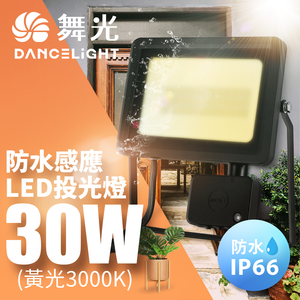 DanceLight舞光 微波感應泛光燈30W IP66防水 防眩強化玻璃(白光/黃光)
