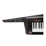 KORG RK-100S 2 Keytar 37鍵 肩背式合成器鍵盤 黑色 / 紅色【敦煌樂器】, , large