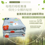 玻尿酸可水洗纖維被, , large