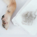 bonbonpet Paws Washer Cleansing Mousse For Dog, , large