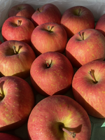 Aomori Honey Fuji Apple, , large