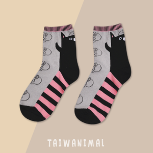 Socks(Tomato Dog)