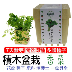 【心安購物】iPlant積木盆栽-香菜