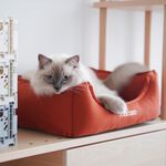 【paipaipets】Latex Pet Bed with cotton sheets - Maple Orange , , large
