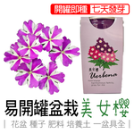 【心安購物】iPlant易開罐盆栽-美女櫻, , large