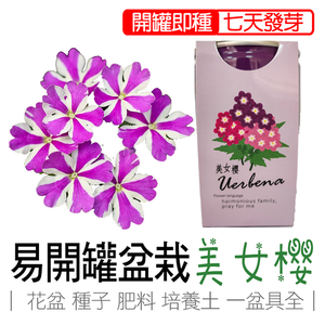 【心安購物】iPlant易開罐盆栽-美女櫻