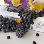Black seedless grapes, , large