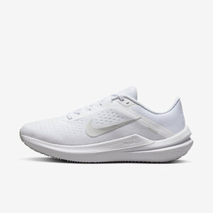 Nike W Air Winflo 10 男女 慢跑鞋 運動 路跑 基本款 緩震 舒適 白銀 [DV4023-102]