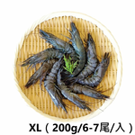Penaeus monodon, , large