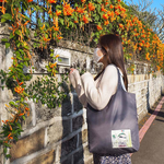 【seisei】雙色雙正面肩背手提托特包_再生寶特瓶環保防水布/優良綠, , large