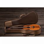 instrument, , large
