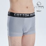 Boxer, , large