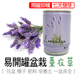 【心安購物】iPlant易開罐盆栽-薰衣草, , large