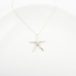 【Angel & Me】海星 s925 純銀項鍊 海洋 生日 情人節 聖誕節禮物, , large