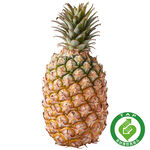 TAP Diamond Pineapple, , large