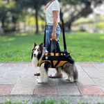 [天群健康] EZ-CARE Pet 寵物輔助衣-一般款 L號(狗狗後肢無力 輔助上下樓 行動不便 寵物輔具 寵物護具) 多色可選 軍綠迷彩, 軍綠迷彩, large
