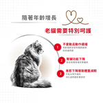 Royal Canin, , large