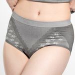 【AREXSPORT台灣製】AS-3419抑菌女內褲 銀纖維內褲 竹炭女內褲 女三角運動內褲 竹炭消臭 台灣製銀纖維抑菌, , large