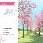 日本製【コスモ】長門簾《櫻花漫步》, , large