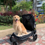 [天群健康] EZ-CARE pet 攜帶款M號 多色選擇 雙層結構設計 防水止滑墊 60X50公分 , , large