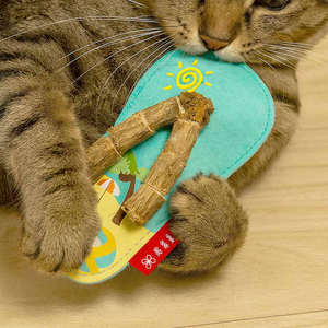 Silvervine & Gall Fruit Cat Chew Toy