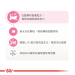 【拉拉寵物小舖】法國皇家 貓飼料 BC34 離乳貓與母貓專用乾糧 2公斤, , large
