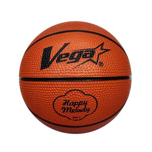 Vega Mini Basketball