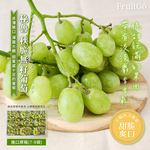 Autumn Crisp Grape, , large