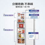 TATUNG 285L Upright Inverter Freezer TR-285SFVH, , large