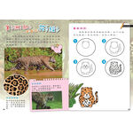[小牛頓]PLAY&LEARN(共7冊) 適合5-8歲 平裝全彩 高階遊戲書, , large