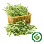 TAP Ming Bean, , large