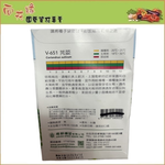 Skystar Coriander &ndash; Vegetable Seeds, , large