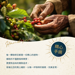 Organic Filter Coffee (10g*7 packs), , large