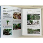 《南門書局》新手陽台種花+種菜+從菜場到餐桌, , large