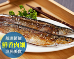 Saury, , large