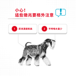 【Royal Canin法國皇家】泌尿保健小型成犬UMN, , large