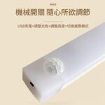 Magnetic induction light strip, , large