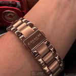 [星晴錶業]COACH手錶,38mm,CH00175玫瑰金色錶面玫瑰金錶殼玫瑰金色精鋼錶帶款, , large