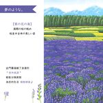 日本製【コスモ】長門簾《薰衣草田》, , large