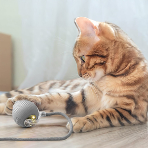 automatic-cat-teasing-ball