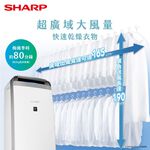 SHARP 夏普 18公升 一級 自動除菌離子衣物乾燥抗黴除濕機 DW-K18HT-S 星耀銀, , large