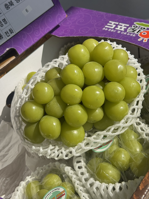  Korean Shine Muscat