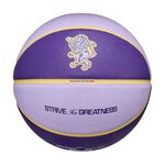 NIKE LEBRON ALL COURTS 2.0 8P 7號球 籃球 比賽 訓練 運動 室內 室外 深溝 控球 紫, , large