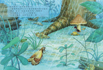 《南門書局》單本繪本館~蘑菇蘑菇我能來躲雨嗎 1本, , large