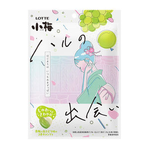 LOTTE 春日小梅糖